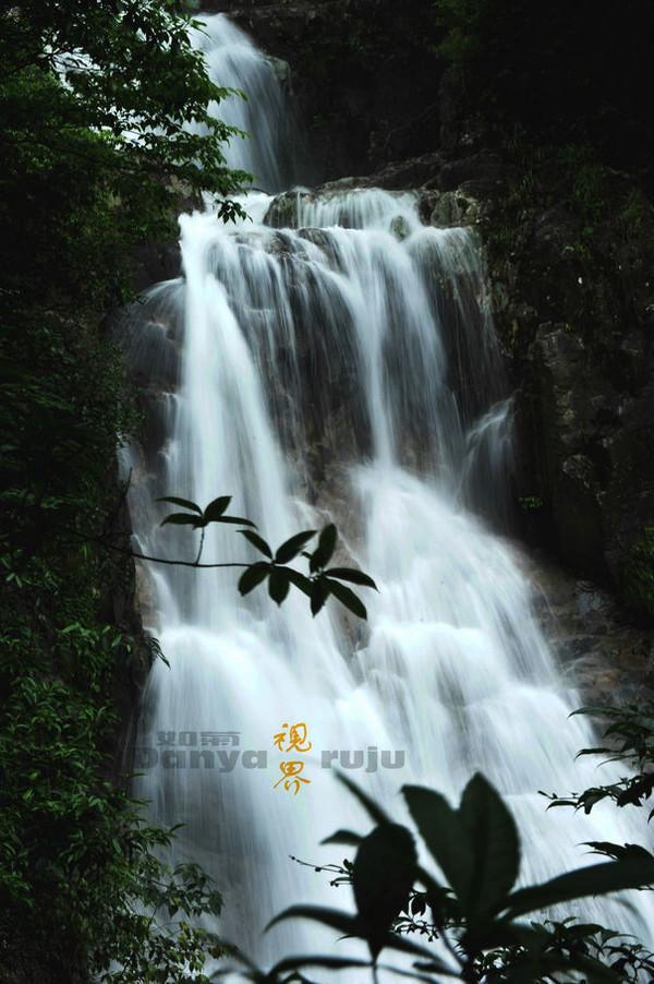 给果树 打抗寒“预防针”