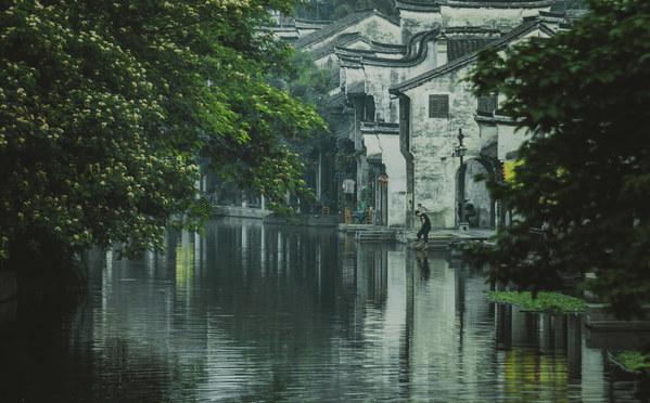 逗小猴开心系列193